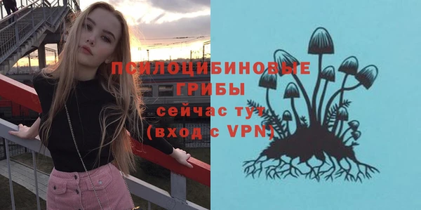 шишки Балабаново