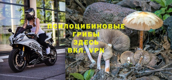 шишки Балабаново