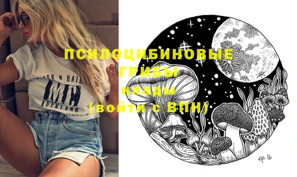 шишки Балабаново